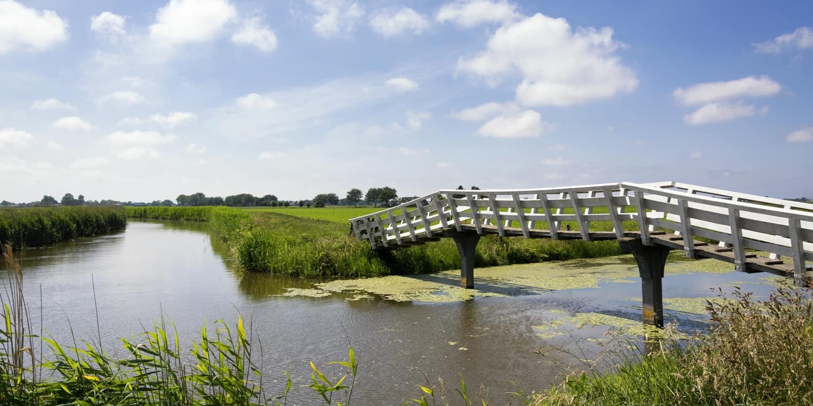 Voor de brug: nieuwbouw in Driebruggen