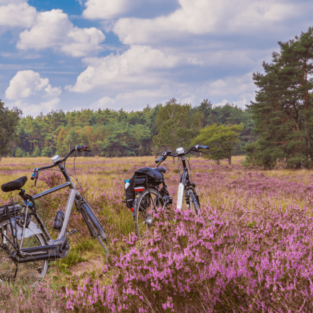 Freek Hypotheek weekend weg